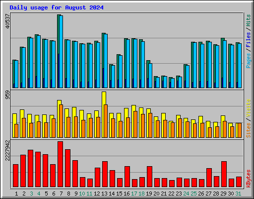 Daily usage for August 2024