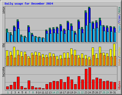 Daily usage for December 2024