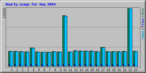 Hourly usage for May 2024