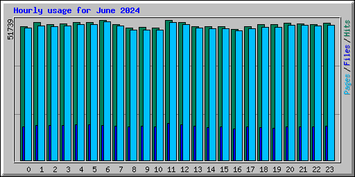 Hourly usage for June 2024