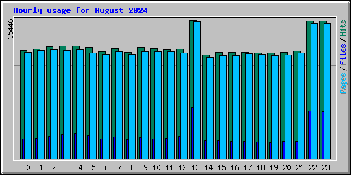 Hourly usage for August 2024