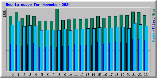 Hourly usage for November 2024