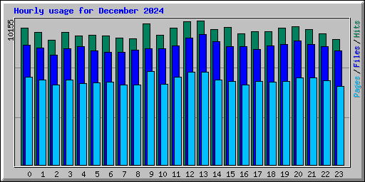 Hourly usage for December 2024