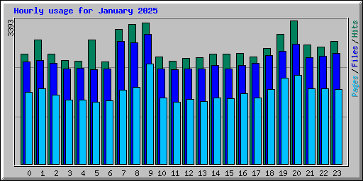 Hourly usage for January 2025