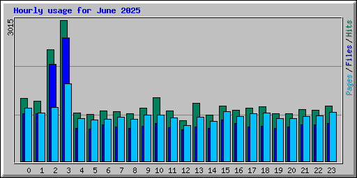 Hourly usage for June 2025