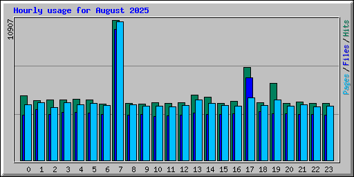 Hourly usage for August 2025
