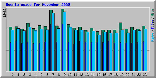 Hourly usage for November 2025