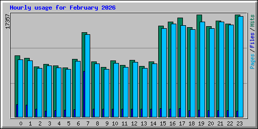 Hourly usage for February 2026