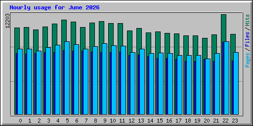Hourly usage for June 2026